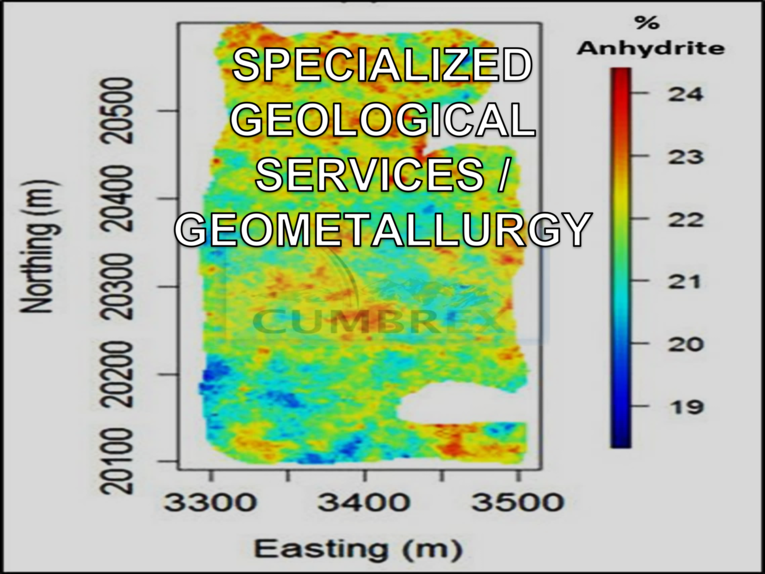 SPECIALIZED GEOLOGICAL SERVICES / GEOMETALLURGY